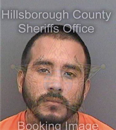 Alvarez Gabriel - Hillsborough County, FL 