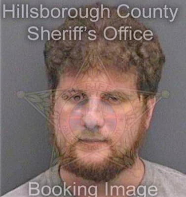 Dangelo Michael - Hillsborough County, FL 