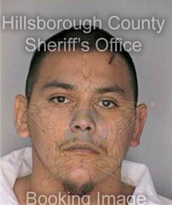 Flores Fernando - Hillsborough County, FL 