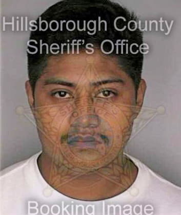 Reyes Javier - Hillsborough County, FL 