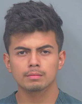 Robledo Jose - Gwinnett County, GA 