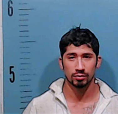 Hernandez Alfredo - Taylor County, TX 
