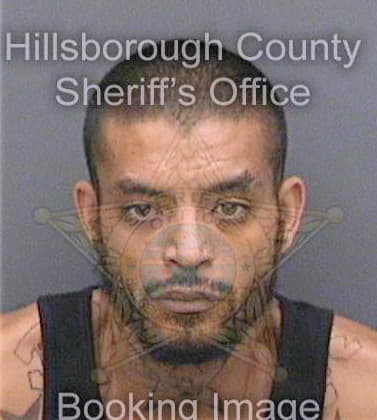 Riosmulero Anibal - Hillsborough County, FL 