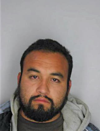 Sandoval Eric - Hillsborough County, FL 