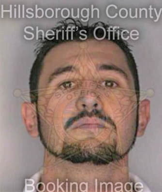 Pinson Gary - Hillsborough County, FL 