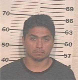 Martinez Julian - Hidalgo County, TX 