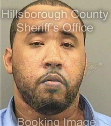 Brooks Julio - Hillsborough County, FL 