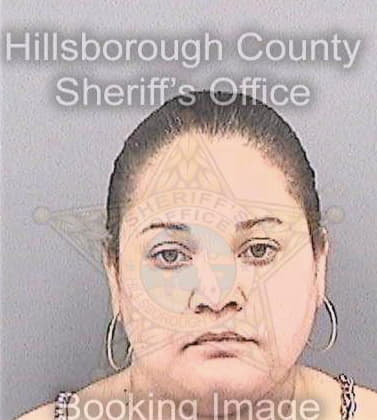 Millin Laney - Hillsborough County, FL 