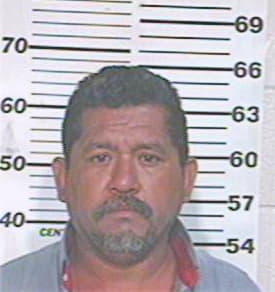 Hernandez Alfredo - Hidalgo County, TX 