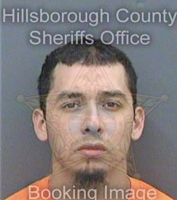 Galvan Eric - Hillsborough County, FL 