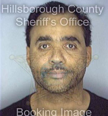 Lajara Louis - Hillsborough County, FL 