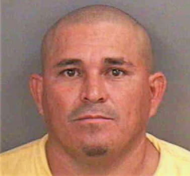 Pineda Carlos - Collier County, FL 