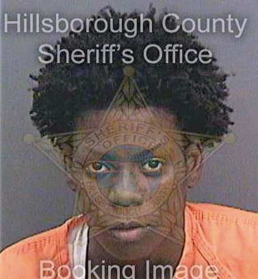 Wilson Courtney - Hillsborough County, FL 
