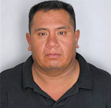 Galiciacampos Antonio - Hillsborough County, FL 