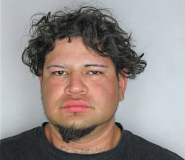 Dominguez Haanzel - Hillsborough County, FL 