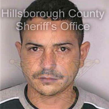 Roldan Marcus - Hillsborough County, FL 