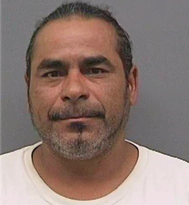 Ruiz Juan - Hillsborough County, FL 