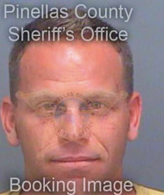 Wiley Michael - Pinellas County, FL 