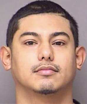 Leiva Alvaro - Denton County, TX 