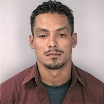 Aponteborges Jose - Hillsborough County, FL 
