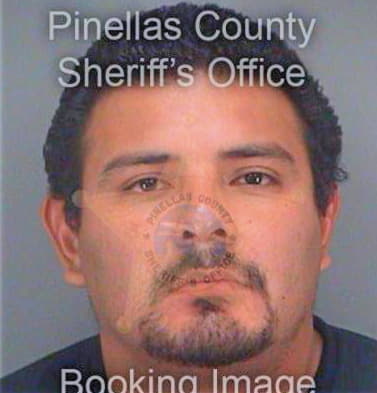 Noyolapineda Che - Pinellas County, FL 