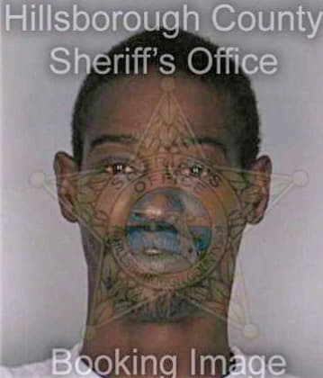 Haynes Curtis - Hillsborough County, FL 