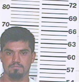 Reyes Melecio - Hidalgo County, TX 