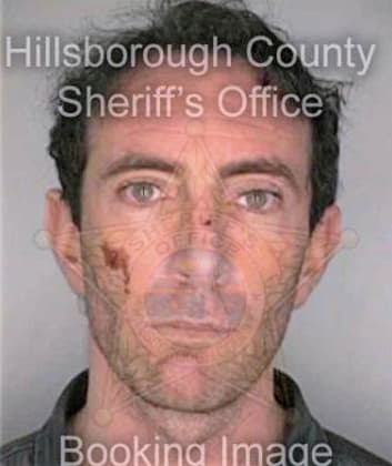 Feinsod Mitchell - Hillsborough County, FL 