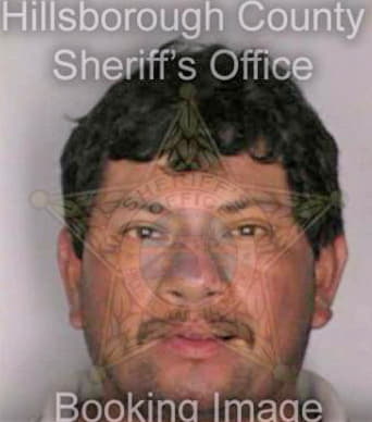 Reyesgarcia Adel - Hillsborough County, FL 