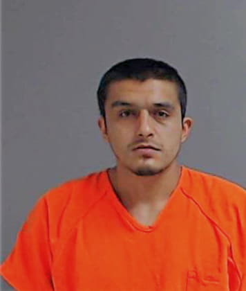 Salinas Leandro - Hidalgo County, TX 