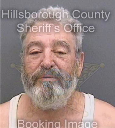 Disla Rafael - Hillsborough County, FL 