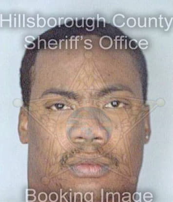 Salter Alezeem - Hillsborough County, FL 