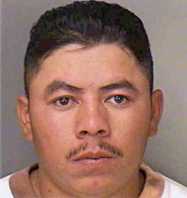 Gomez Carmelo - Polk County, FL 