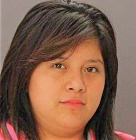 Ramirez Erika - Dallas County, TX 
