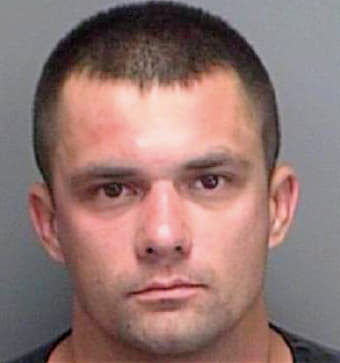Gregory George - Pinellas County, FL 