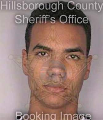 Ruiz Michael - Hillsborough County, FL 