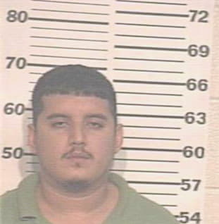 Silva Manuel - Hidalgo County, TX 