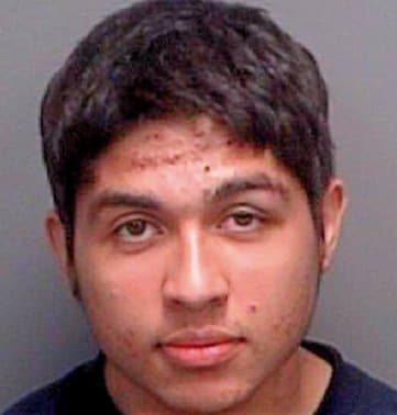 Colindres Marinho - Pinellas County, FL 