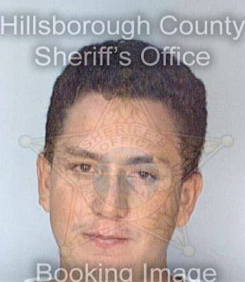 Banchez Nelson - Hillsborough County, FL 
