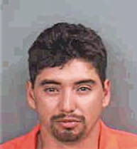 Hernandez Daniel - Collier County, FL 