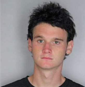 Lewis Michael - Hillsborough County, FL 