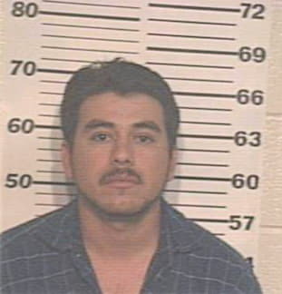 Mata Pedro - Hidalgo County, TX 