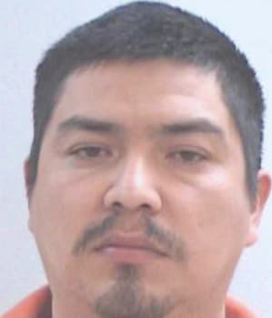 Baeza Tomas - Henry County, GA 