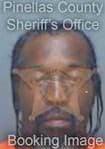 Newton Gearld - Pinellas County, FL 