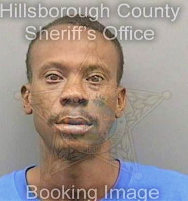 Dixon Michael - Hillsborough County, FL 