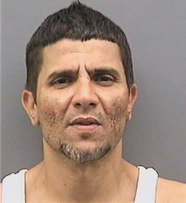 Rodriguezperez Rafael - Hillsborough County, FL 