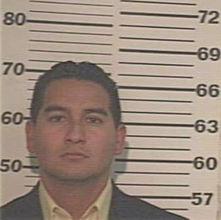 Sol Steven - Hidalgo County, TX 