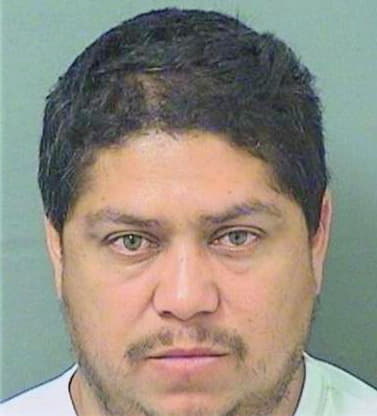 Cardenas Manuel - PalmBeach County, FL 