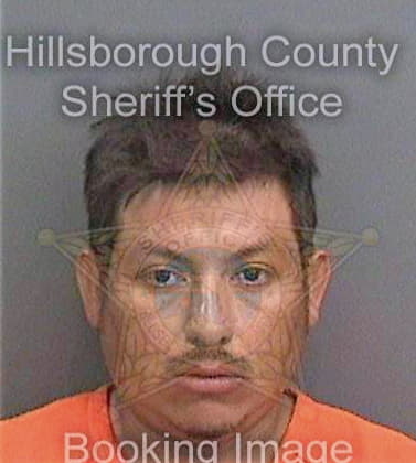 Sanchez Martin - Hillsborough County, FL 