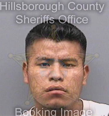 Salas Orbelio - Hillsborough County, FL 